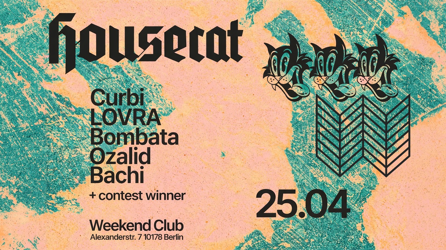 Housecat W/ Curbi, LOVRA & Bombata - Photo 1